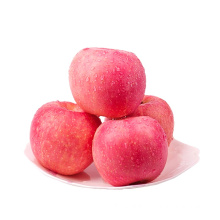import apples for wholesale